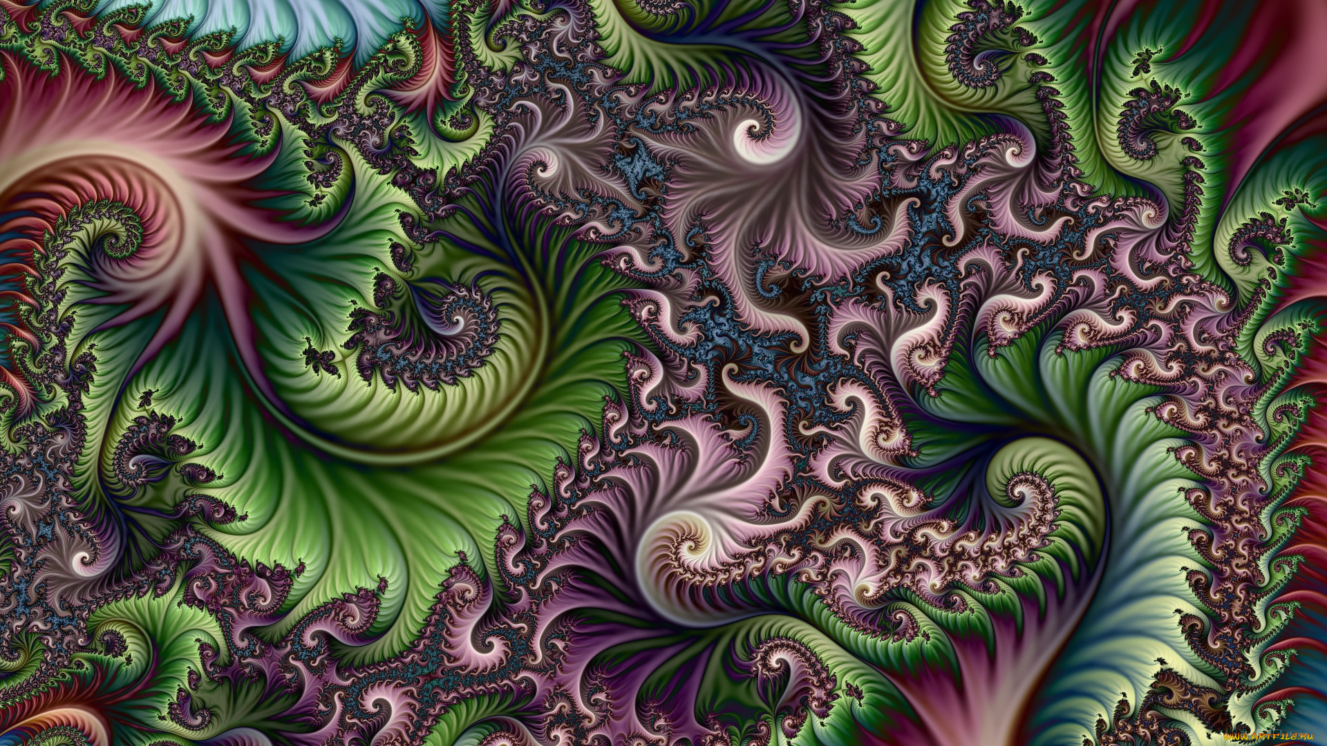 3 , fractal 